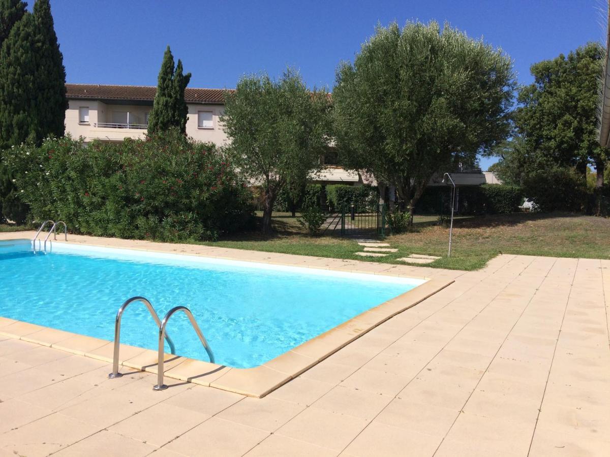 Studio Santa Monica - Climatise - Piscine - Parking Toulouse Eksteriør billede